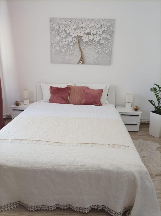 Apartment Soft Galati (Galati)